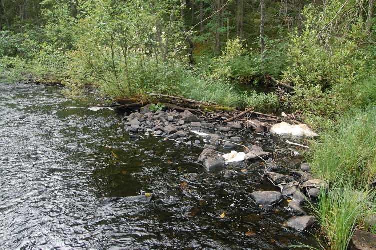 Puroon on todennäköisesti jo aiemmin aseteltu kiviä suojapaikoiksi ja kynnysmäisiksi rakenteiksi. Vesisyvyys on siinä noin 40 cm. Rannan penkoissa on kiviä, joita voi siirtää virtaan.