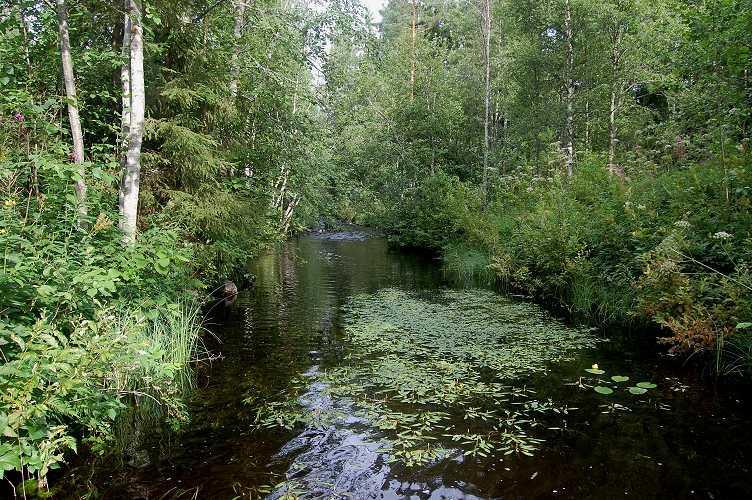 poikaskivikkojen puute kuin alivesiaikaan vähäinen vesisyvyys.