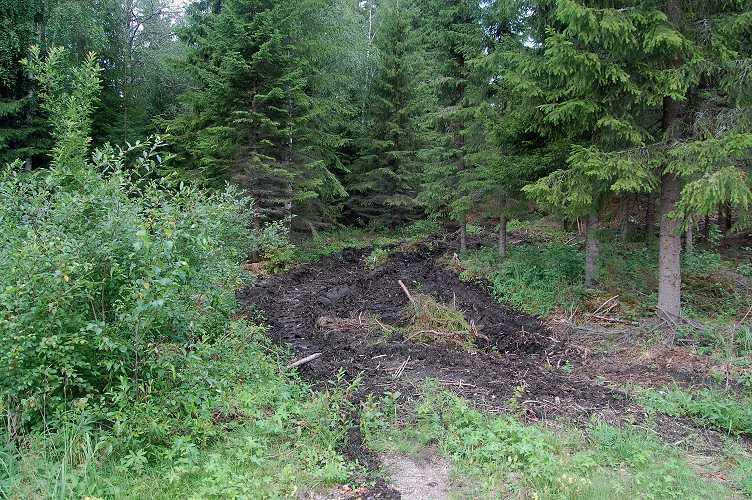 metsäkoneuria, joita myöten soran kuljetus esimerkiksi traktorilla uusille kutualueille on