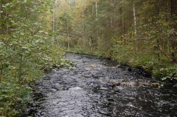 31 Kuvat 24 ja 25. Kuva 26. Kunnostuskartassa nro 4 näkyy tämän alaosassa saareke, joka jakaa uoman noin kolme metriä leveään päävirtaan ja tätä puolet kapeampaan sivu-uomaan.