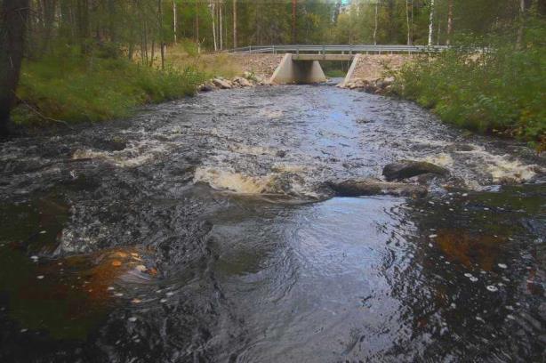 Myös seulanperäkiviä tarvitaan alapuolisen pohja-alueen monimuotoistamiseen.