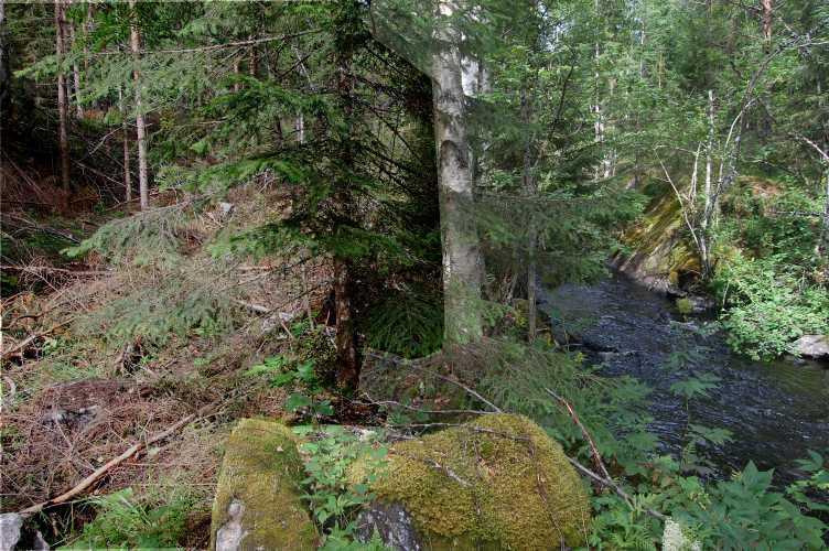 Uoma on muutoin edellisen kaltainen, vesisyvyys on keskimäärin 20 cm ja uoman leveys 4 5 m.