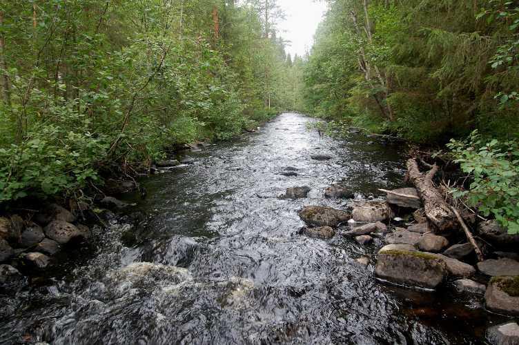 Uomassa sijaitsee lyhyt suisteen jäänne, joka puretaan ja tästä