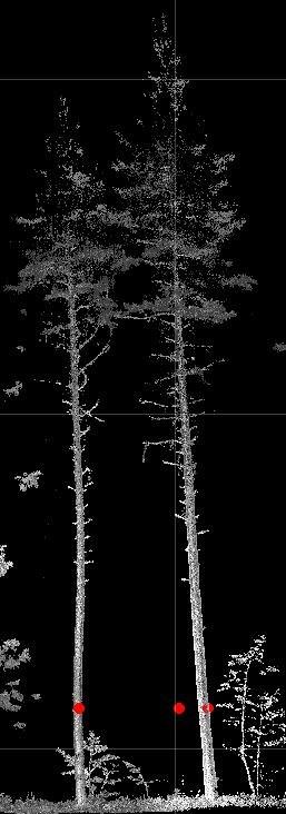 Kuva 16: Koeala 1048. Algoritmin löytämät puut punaisella ja vihreällä.