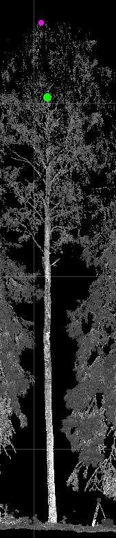 Alla on vielä vertailun vuoksi esimerkki siitä, kuinka yksittäinen puu on tutkimusaineistossa näkynyt. Kuva 17: Koeala 1045.