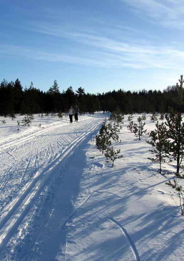 Turun Latuviesti