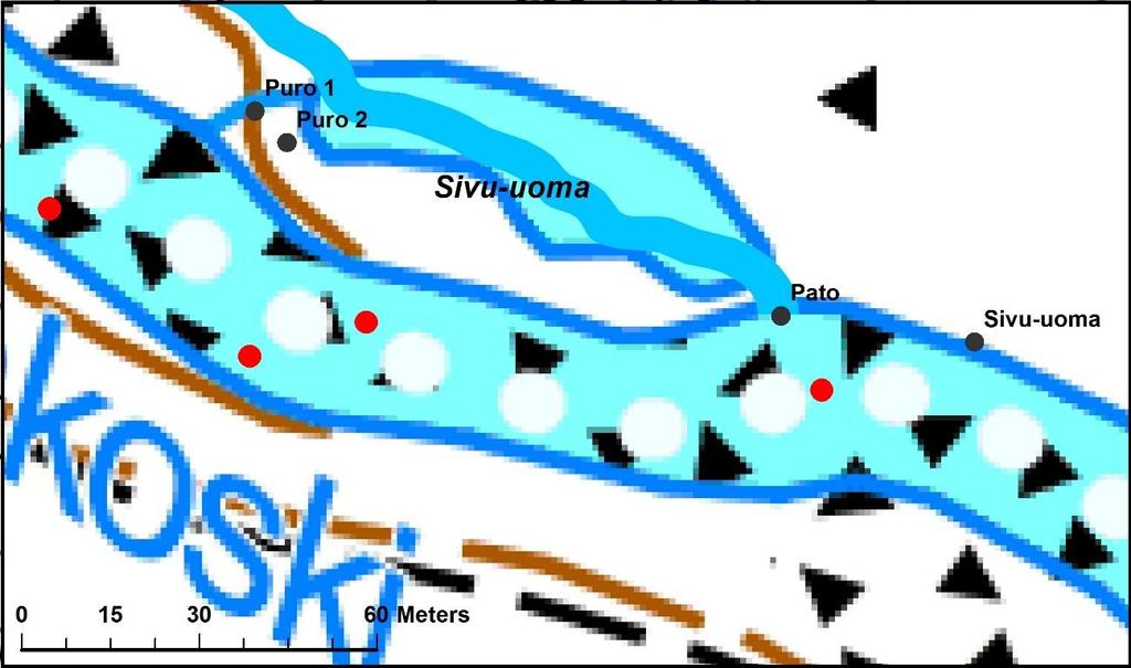 21 Kuva 6. Kuvassa punaisilla täplillä on merkattu valmiit kutusoraikot. Harmaat täplät ovat maastossa merkattuja GPS-pisteitä (taulukko 7).