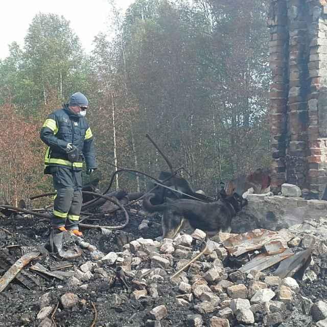 27 Vuonna 2016 vakavia palokuolemiin johtaneita tehtäviä oli neljä kappaletta. Palontutkinta suoritettiin myös viidessä palokohteessa, joissa henkilö tai henkilöitä oli loukkaantunut palossa.