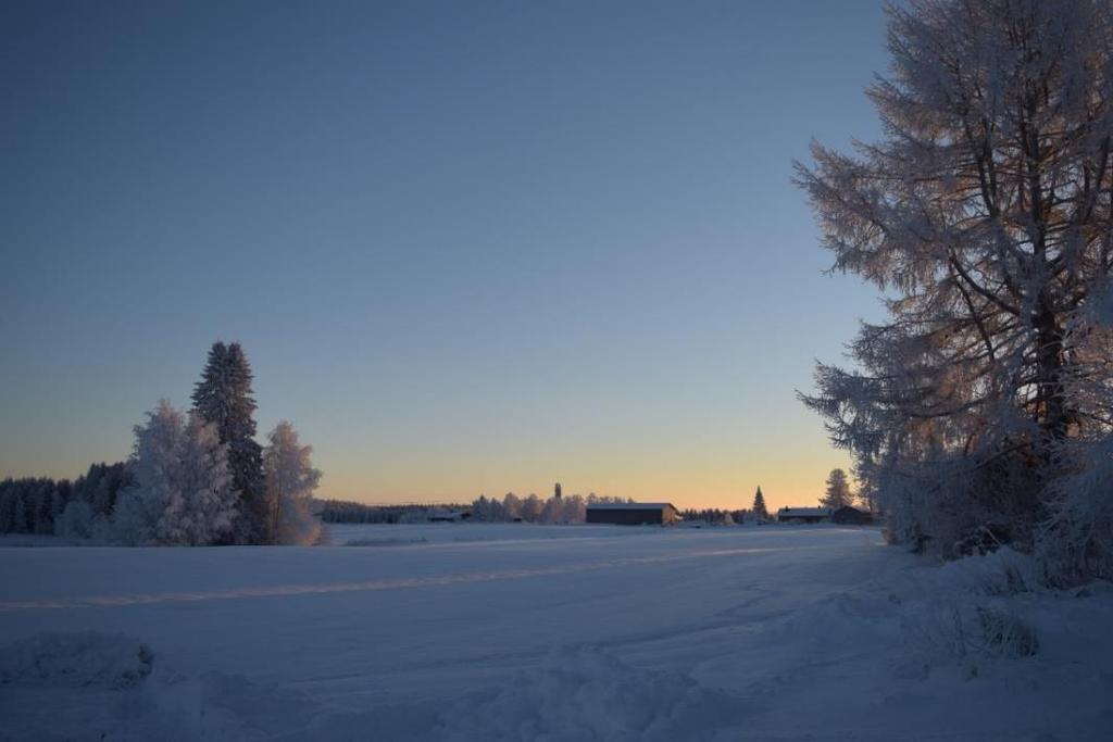 LOPPUKESKUSTELU JA PALAUTE + LOPPUKYSELY 13 (14) Kesto 1.