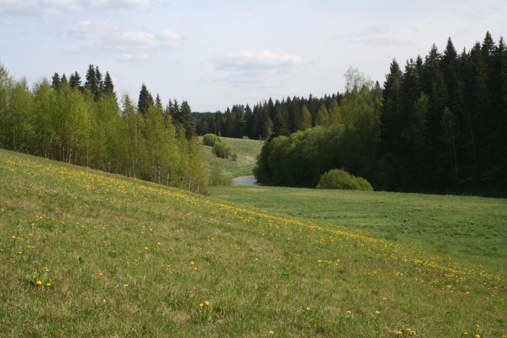 Näkymä Halikonjoen rannan Häävälän paahteiselta niityltä, jossa pikkuapollot ruokailevat mesikasveilla.