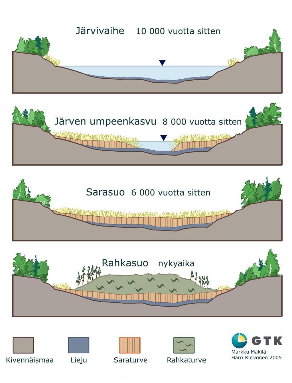 Kehitys järvestä