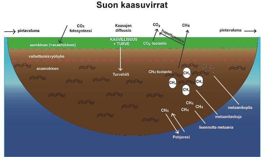 CO2 = hiilidioksidi CH4 = metaani Metaani lämmittää ilmastoa 29 kertaisesti hiilidioksidiin