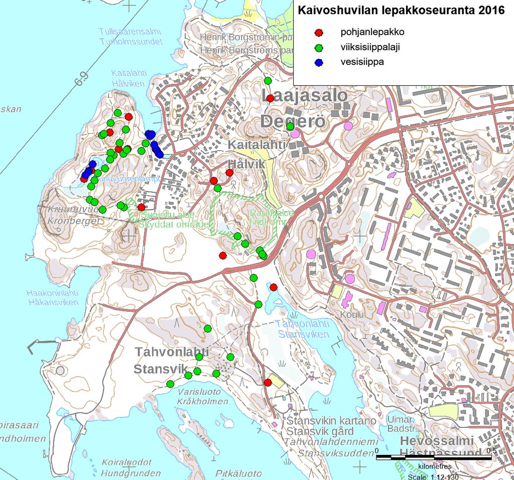 Kartta 4. Aktiivikartoituksen lepakkohavainnot vuonna 216.