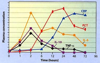 PCT kinetiikka vs.