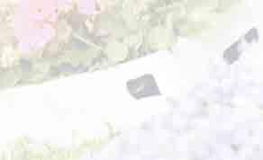 6411501510006 79 90 Fiskars PowerGear