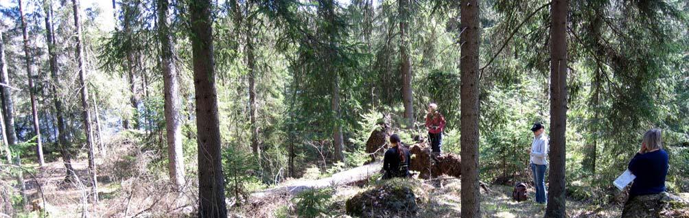 Kuva 2. Panoraamakuva Sipoon Katronträskistä.