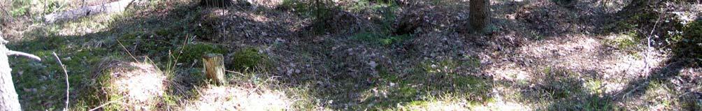 kvartsi-iskos.