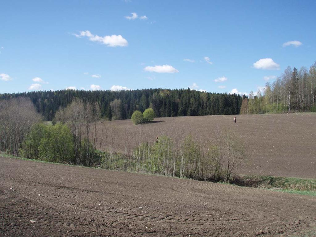 Luokitusehdotus Luokka 2. Kuva 3.