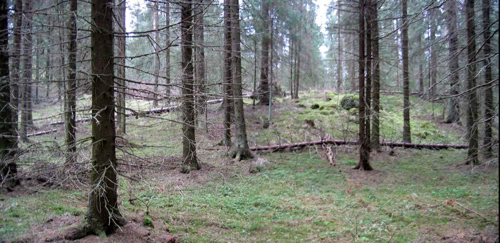 Kuva 11. Panoraamakuva, niemeke lännestä kuvattuna.