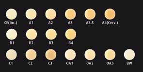 6g Värit: A1-A5, B1-B4, C1-C3, CE, INC, BW, OA1-OA3, OPA2 Estelite Flow Quick Esteettinen