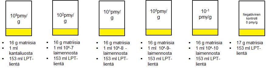 22 vänä näytteet ajettiin MiniVidaksella. Tulokset ovat tulososiossa. Kuvassa 11 on esitetty L. monocytogeneksen siirrostus matriiseihin. Kuva 11. L. monocytogeneksen siirrostaminen matriiseihin. 5.