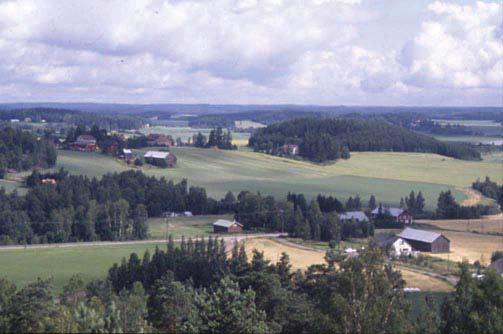 Aila Tarvainen peltoalueineen ja metsänreunoineen. Suunnittelu on yleissuunnittelua, joten alueilta ei tehdä tarkkoja aikaa vieviä kasvi-inventointeja tms.