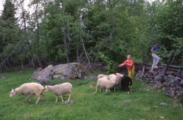 Maastotyöt Ennen maastotöiden aloittamista suunnittelualueesta muodostetaan mahdollisimman monipuolinen yleiskuva. Suunnittelualuetta tarkastellaan korkeilta kohdilta (mäkien laet, lintutornit jne.