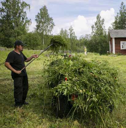 ONNISTU- NEESTI HOITOON LAADUKKAAN HOIDON PERIAATTEET Laadukas jatkuva hoito vaalii monimuotoisuutta, turvaa luontotyyppejä ja lajistoa sekä parantaa uhanalaisten lajien elinoloja.