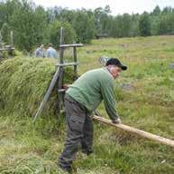 Perinnebiotooppien hoito vahvistaa ihmisen ja luonnon välistä suhdetta