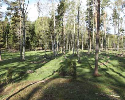 Useiden kymmenien vuosien umpeenkasvun jäljiltä rantaniityt olivat ruovikoituneet, hakamaat kuusettuneet ja vanhat peltolaikut metsittyneet, minkä seurauksena lajisto oli köyhtynyt.