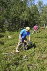 Kohdennamme hoito toimia suunnitelmallisesti ekologisesti arvokkaim mille kohteille Hoidettua perinnebiotooppien pinta-alaa on kasvatettu 15 000 hehtaariin Arvokkaimmat kohteet on