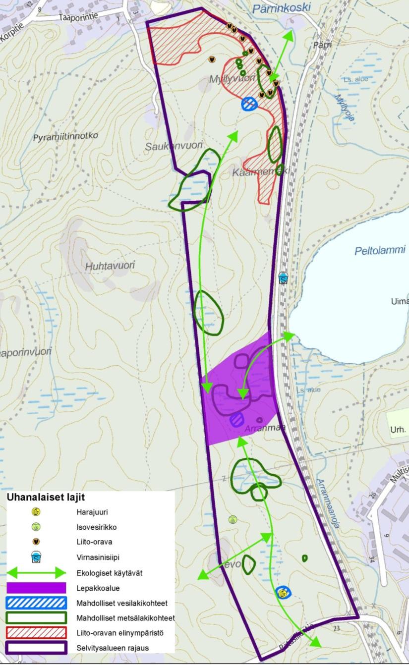 Myös kartoituksessa todetut lepakkohavainnot tukevat tätä ja havainnot sijoittuvat vanhan metsäkuvion pohjoisosaan.