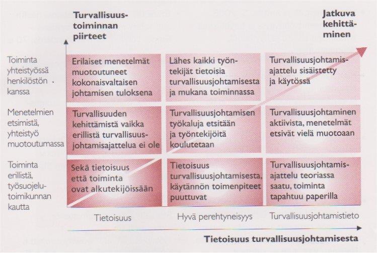 14 turvalliseen työympäristöön on riskien arvioinnin erityisenä tavoitteena työn turvallisuuden parantaminen. (Työturvallisuushallinto 2014b.