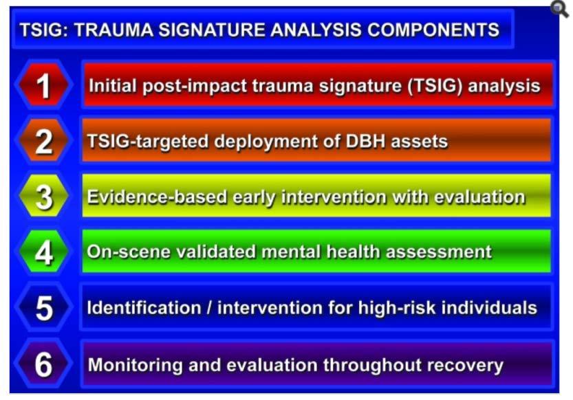 TSIG Trauma Signature Analysis 1. Constructing a hazard profile of the disaster to delineate the types, magnitude, intensity, scope, and scale of exposures. 2.