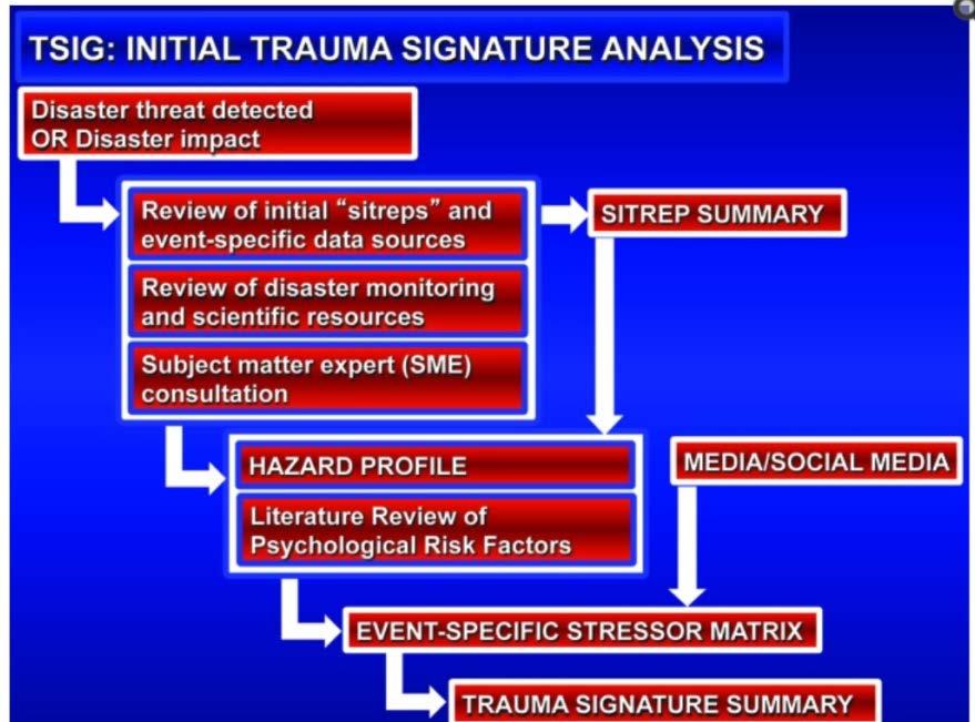 A psychological stressor matrix is created, presenting the salient risk factors for psychological consequences within each of the disaster phases and this is crossreferenced with a review of the