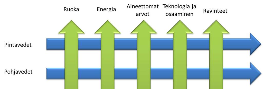 Sininen biotalous Suomessa