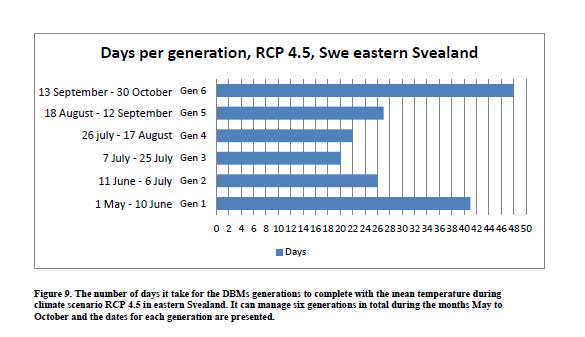 Kaalikoin elämänkierron muutokset ilmaston muuttuessa Sukupolviajan muutokset on laskettu käyttäen perustana 260 asteen lämpösummaa Hermansson, J. 2016.