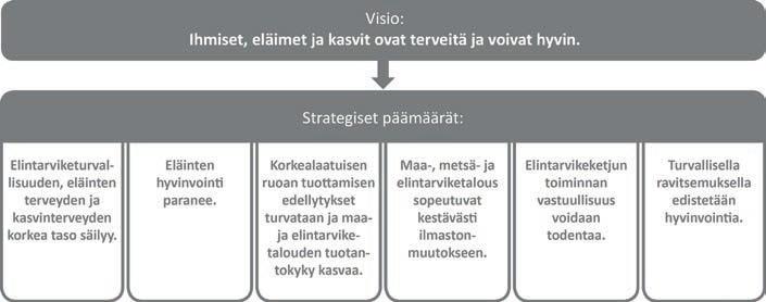 Eviran strategia henkilöstöstrategian pohjana