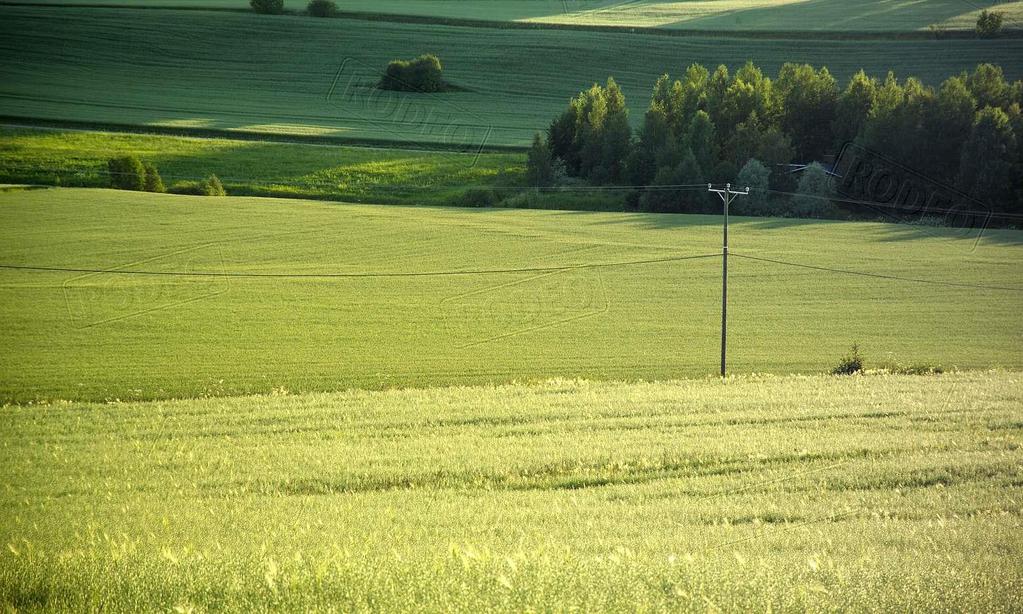 Ravinnetaselaskelma Peltomaan laatutesti Uuden