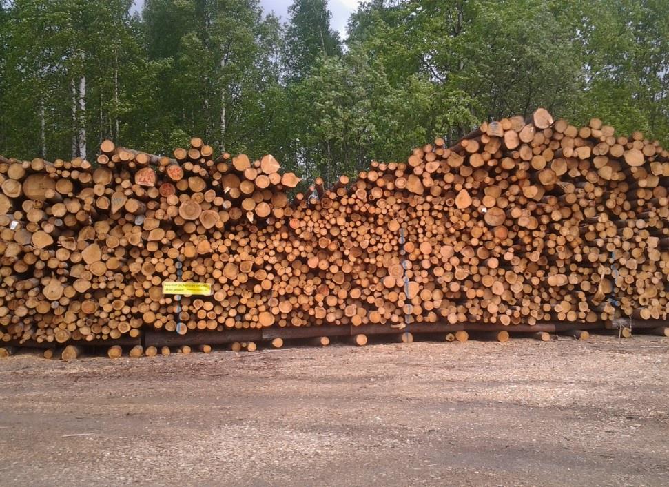 2 AINEISTO Tutkimukseen hankittu puu on peräisin Pirkanmaan alueelta. Hankitut puut jaettiin kahteen tutkimuserään, niiden hankintatavan ja -ajankohdan perusteella.