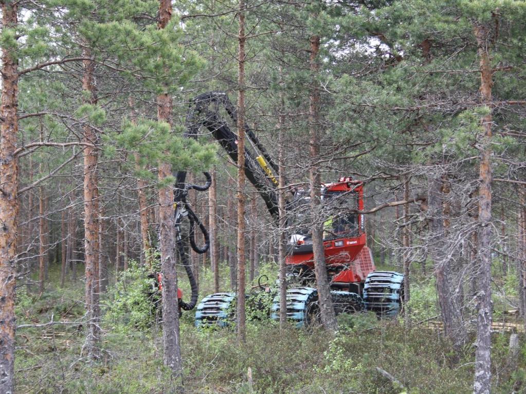 Selvityksen tavoitteet Määritettiin kuvaavimmat mittarit kausivaihtelun mittaamiseen. Listattiin, mitkä ovat tärkeimmät syyt kausivaihteluun. Kartoitettiin tärkeimmät keinot torjua kausivaihtelua.