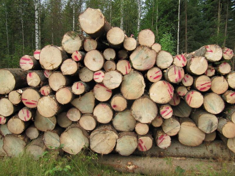 PUHEENJOHTAJAN KATSAUS VUODESTA 2015 Ensimmäinen vuosi jäsenmaksupohjaista yhdistystoiminta on takana, ja metsänhoitomaksu on historiaa. Suoriuduimme tästä myllerryksessä erinomaisesti.