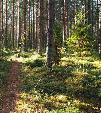 TIEDEKERHO Tiedekerho Pikkututkijat aloittaa tiedekerhot Seutuopiston tiloissa. Kerho kokoontuu kerran viikossa opistotalolla Laaksotiellä.