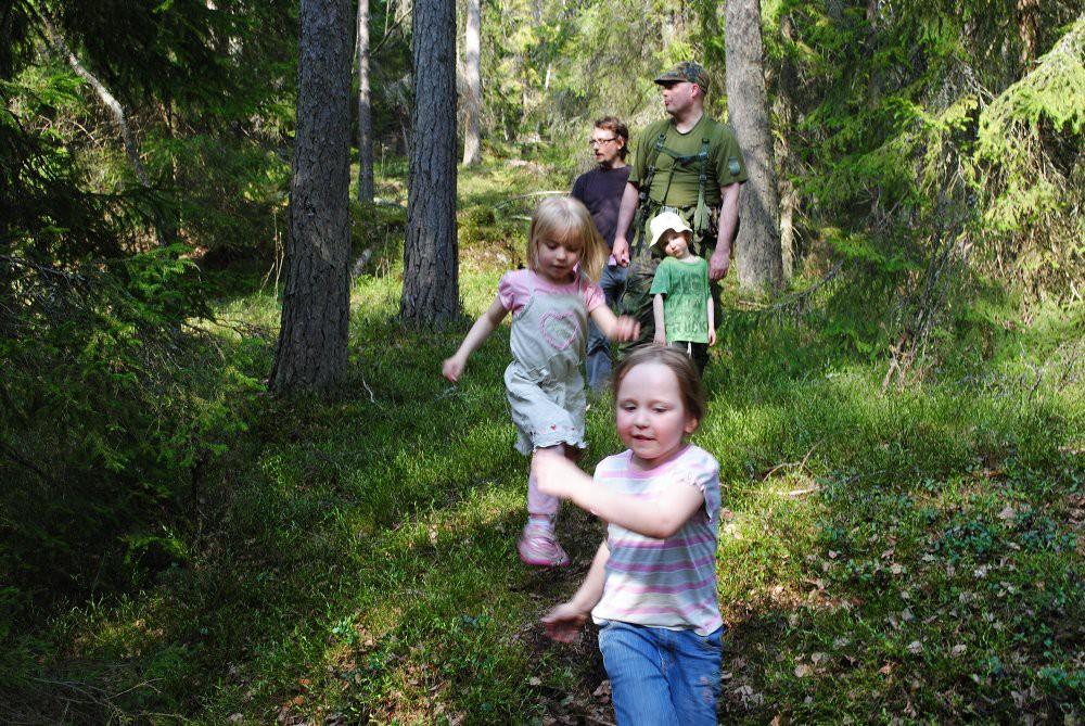 Luonnossa olo lisää lasten ja nuorten hyvinvointia ja terveyttä Stressin väheneminen ja keskittymiskyky Leikkien