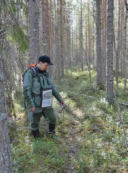 Tulo KV Sumuun Vähän ennen Sumua