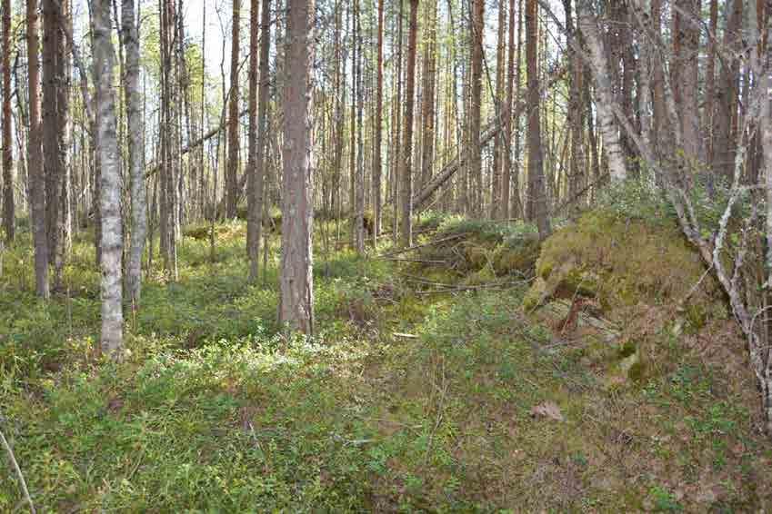 Maastoon ei ole voitu kaivaa taisteluhautoja,