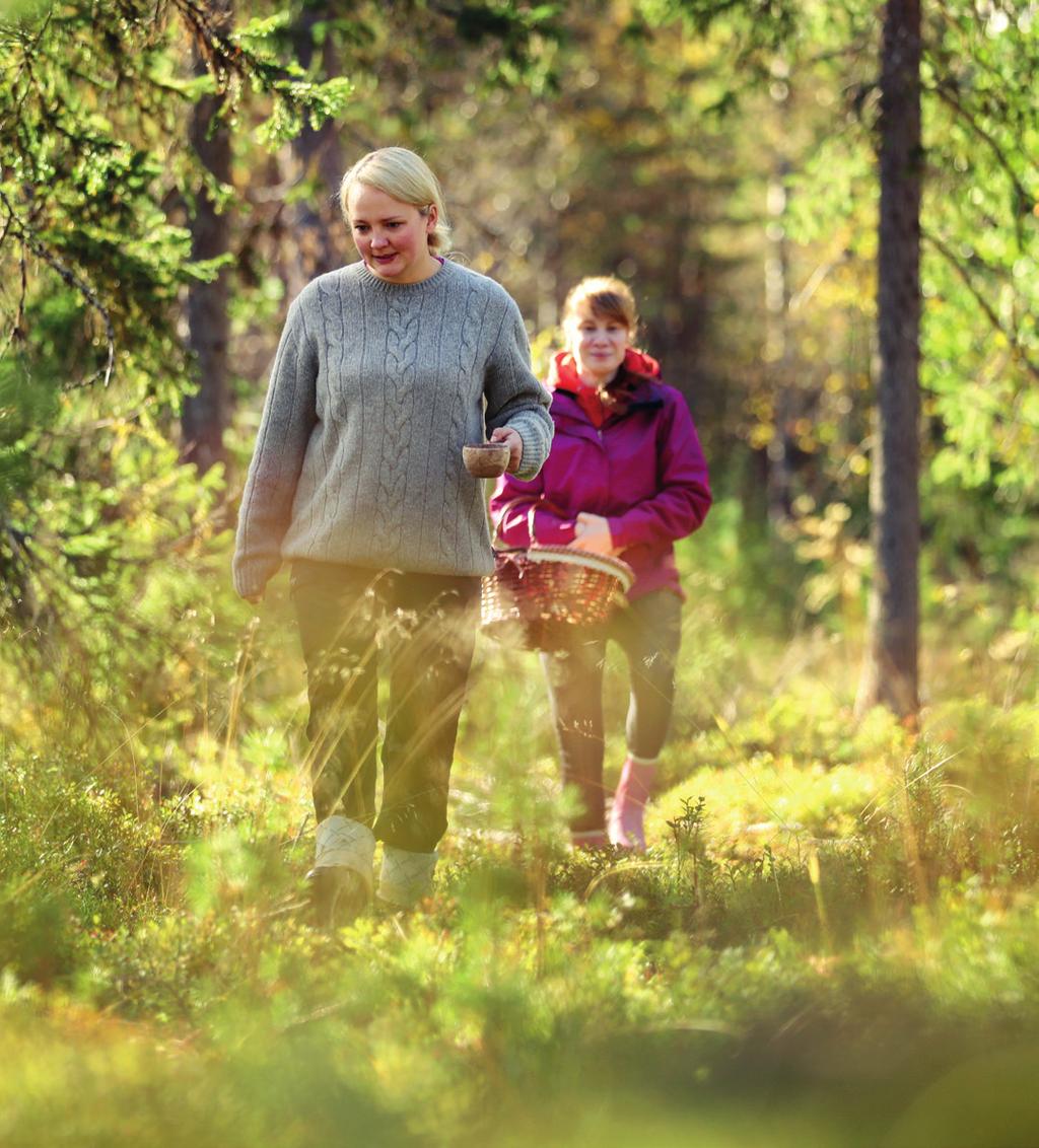 Visit Finland järjestää suurempia ryhmämatkoja sekä yksittäisiä mediavierailuja ja kutsuu median edustajia matkoille kysynnän perusteella.