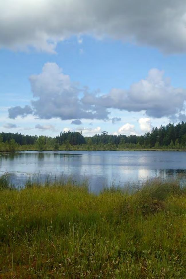 KALANNIN YLEISKAAVA Kalannin luontoinventointi