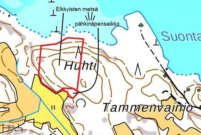 Huhdin kallion laella, vanhan metsän eteläosassa kasvaa ylispuina kookkaat, kilpikaarnaiset männyt ja järeät koivut. Latvakerroksen alemmassa kerroksessa on kuusta ja haapaa.