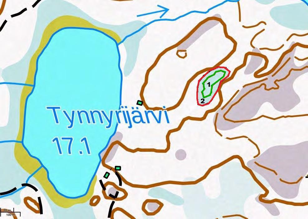 38. Tynnyrijärven itäpuoleinen suo Kuuvantaan pohjoispuolella, Tynnyrijärven ja Kaurajärven välissä, talousmetsän keskellä sijaitsee pieni avonainen suolaikku, jota ympäröi puustoinen korpi. Kuvio 1.